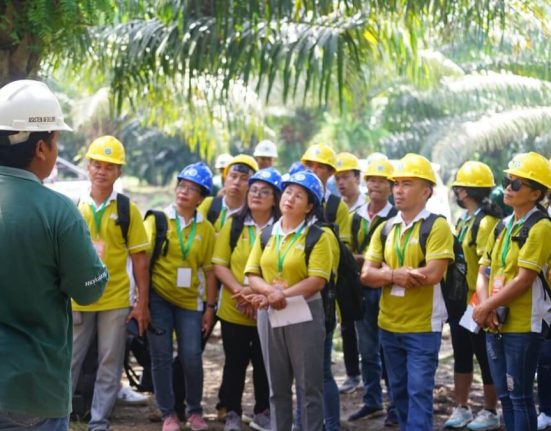 Kunjungan kebun peserta pelatihan petani sawit dari Sumsel.